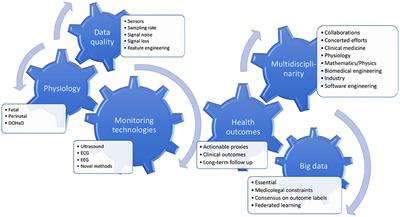 Editorial: Fetal-maternal monitoring in the age of artificial intelligence and computer-aided decision support: A multidisciplinary perspective